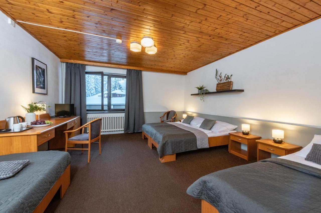 Wellness Hotel Sedy Vlk Гаррахов Экстерьер фото