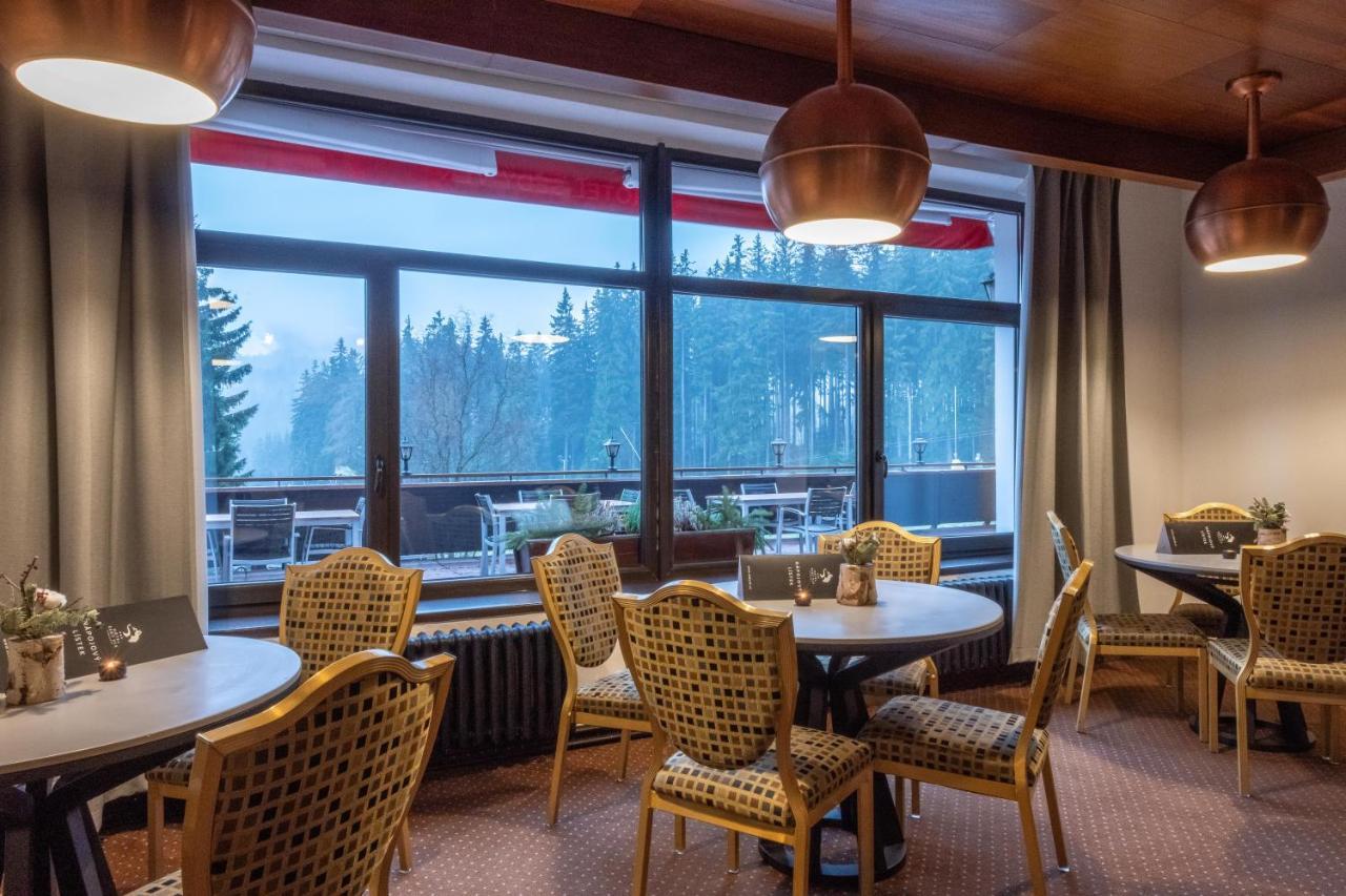 Wellness Hotel Sedy Vlk Гаррахов Экстерьер фото