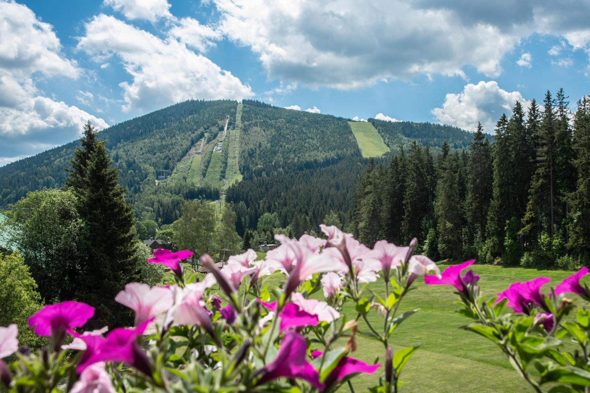Wellness Hotel Sedy Vlk Гаррахов Экстерьер фото