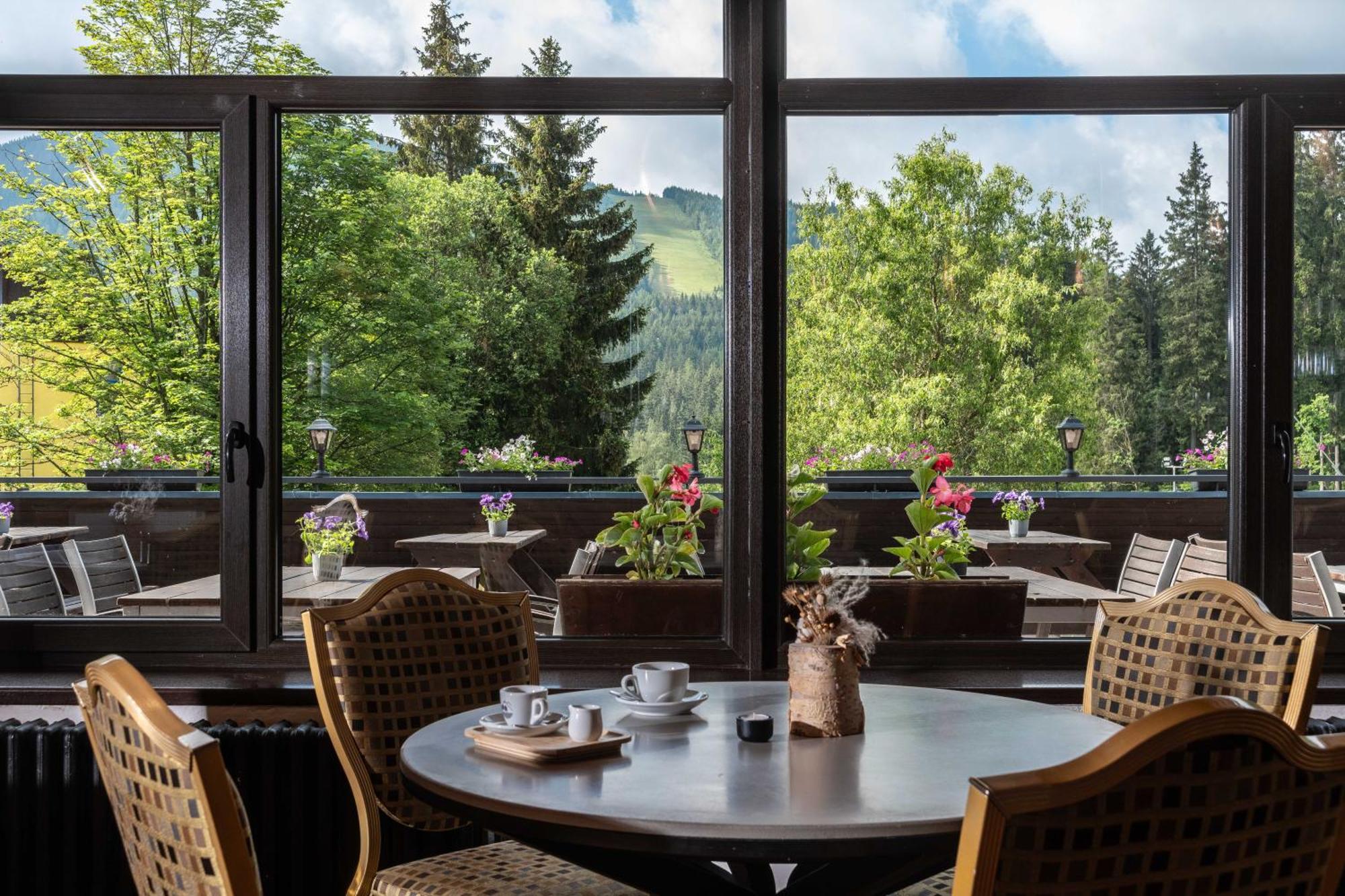 Wellness Hotel Sedy Vlk Гаррахов Экстерьер фото
